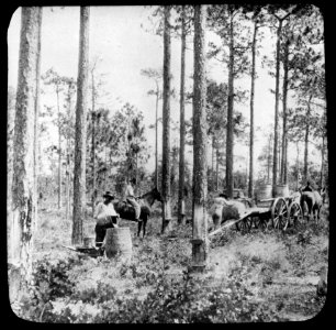 Harswinning , Bestanddeelnr 193-0714
