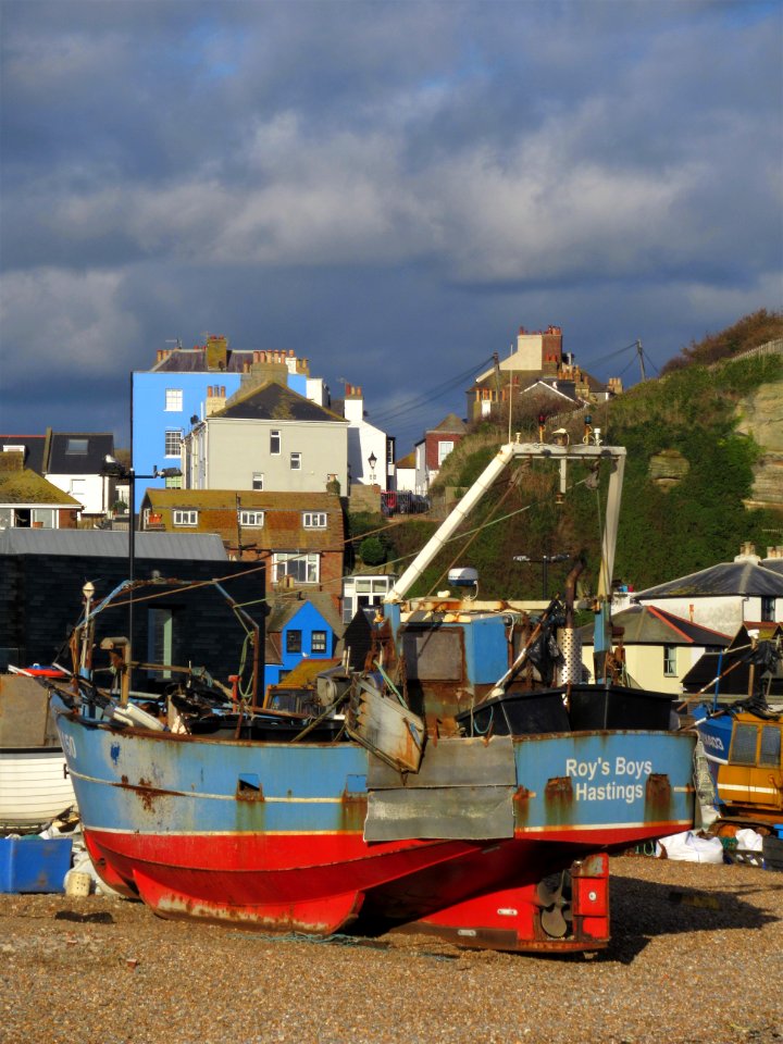 Hastings Beach, Nov 2020 04