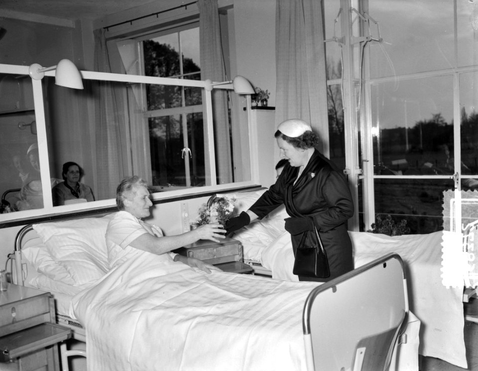 Hare Majesteit de Koningin bezoekt Juliana Ziekenhuis Hengelo, Bestanddeelnr 906-8372