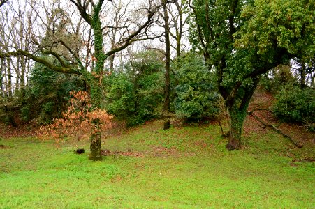 Hashinojo Kofun, zenkei