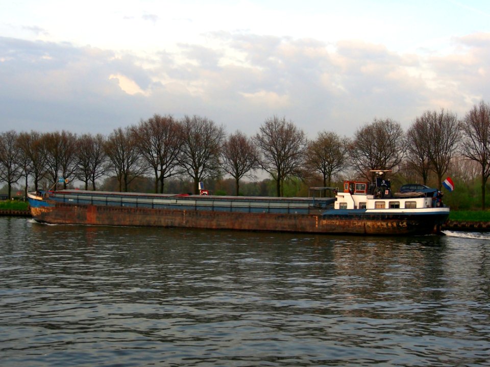Harte Aas, ENI 3011827, Amsterdam-Rijn kanaal, pic3