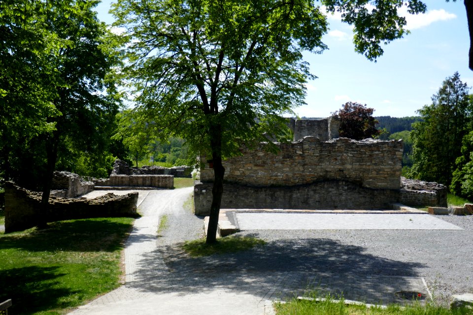 Harth - Burg Ringelstein - 01