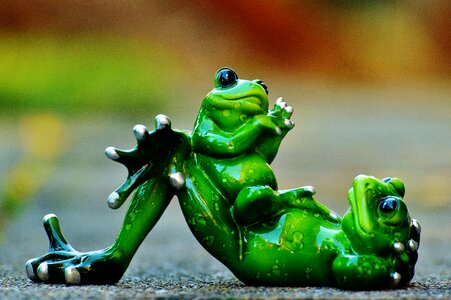 Cute frog figure
