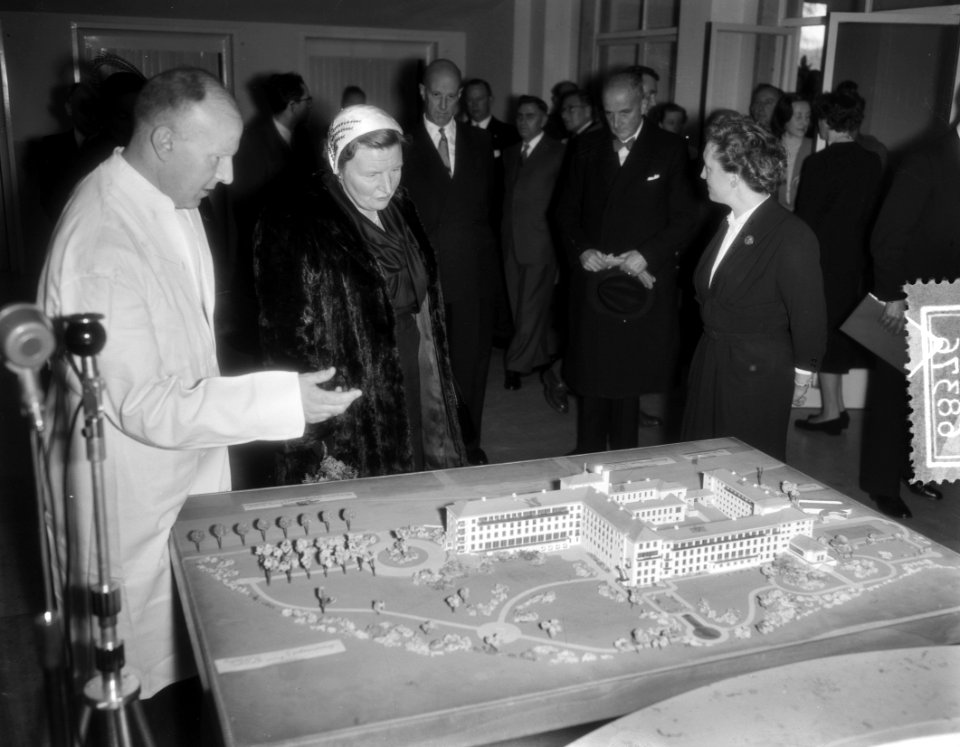 Hare Majesteit de Koningin bezoekt Juliana Ziekenhuis Hengelo, Bestanddeelnr 906-8376