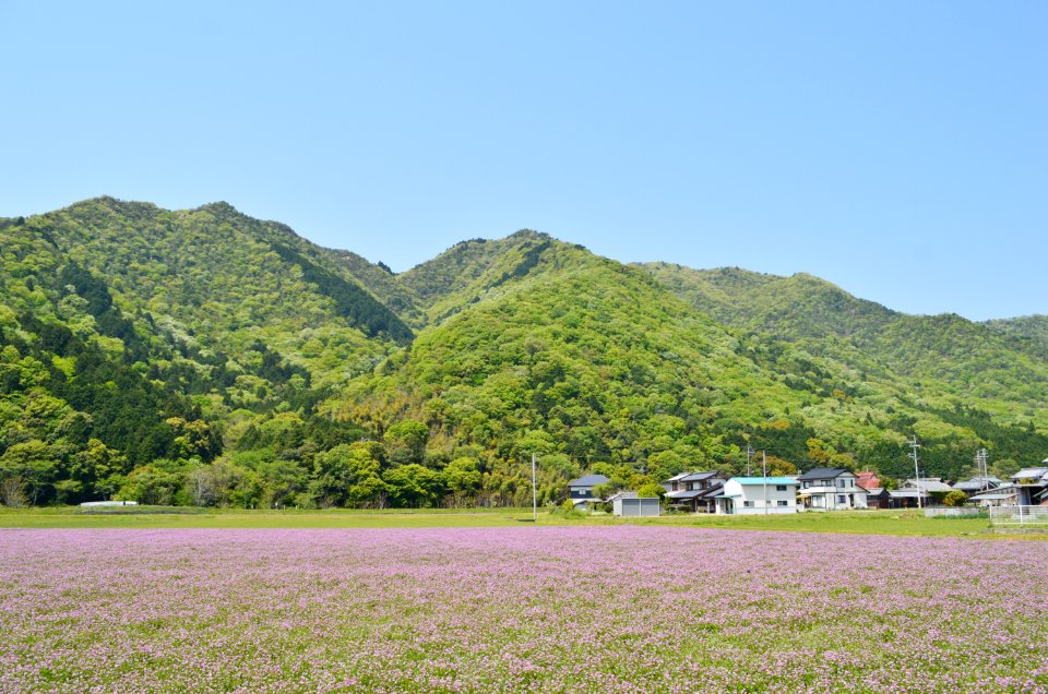 Harima Kinoyama Castle, zenkei