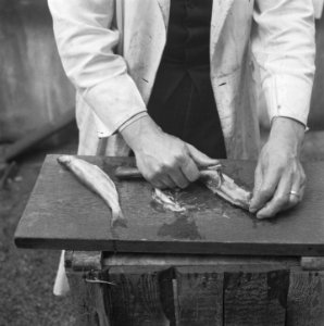 Haring schoonmaken, Bestanddeelnr 901-8386