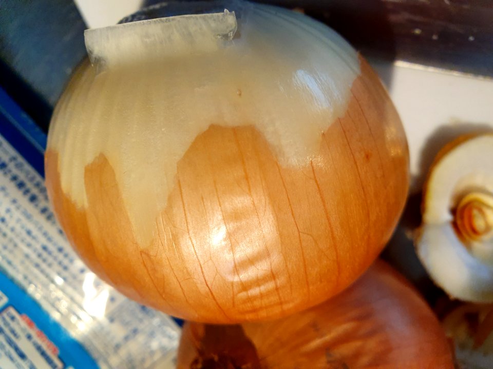 Hard-to-peel onion skin