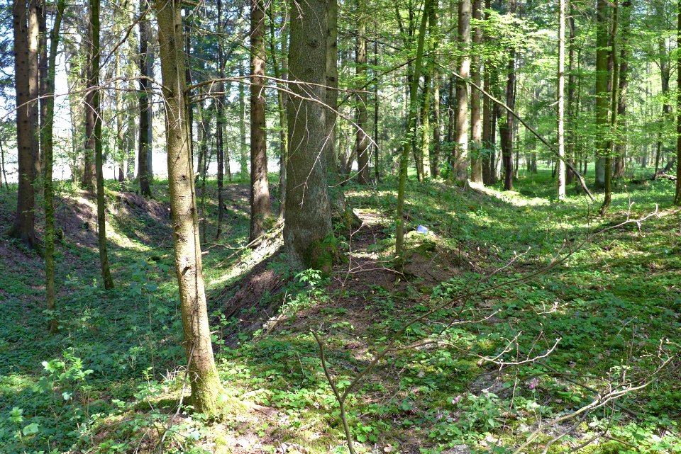 Hart-Wasenberg07-trockengefallener-Naarnfluss-Vorwallstück-nördlich