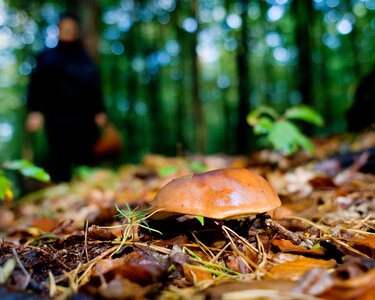 Germany lower saxony nature