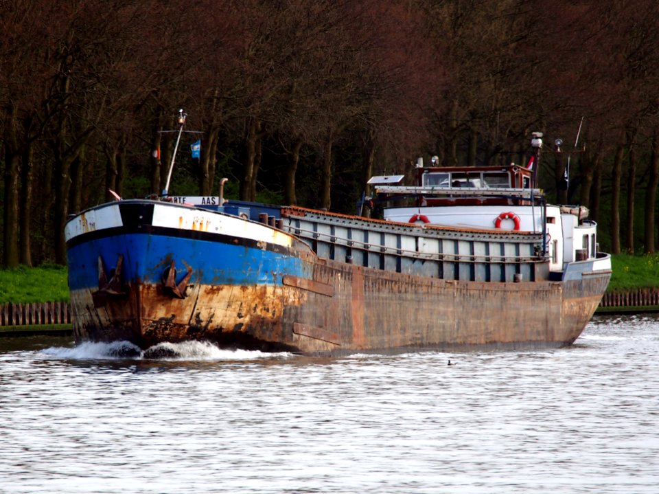 Harte Aas, ENI 3011827, Amsterdam-Rijn kanaal, pic1
