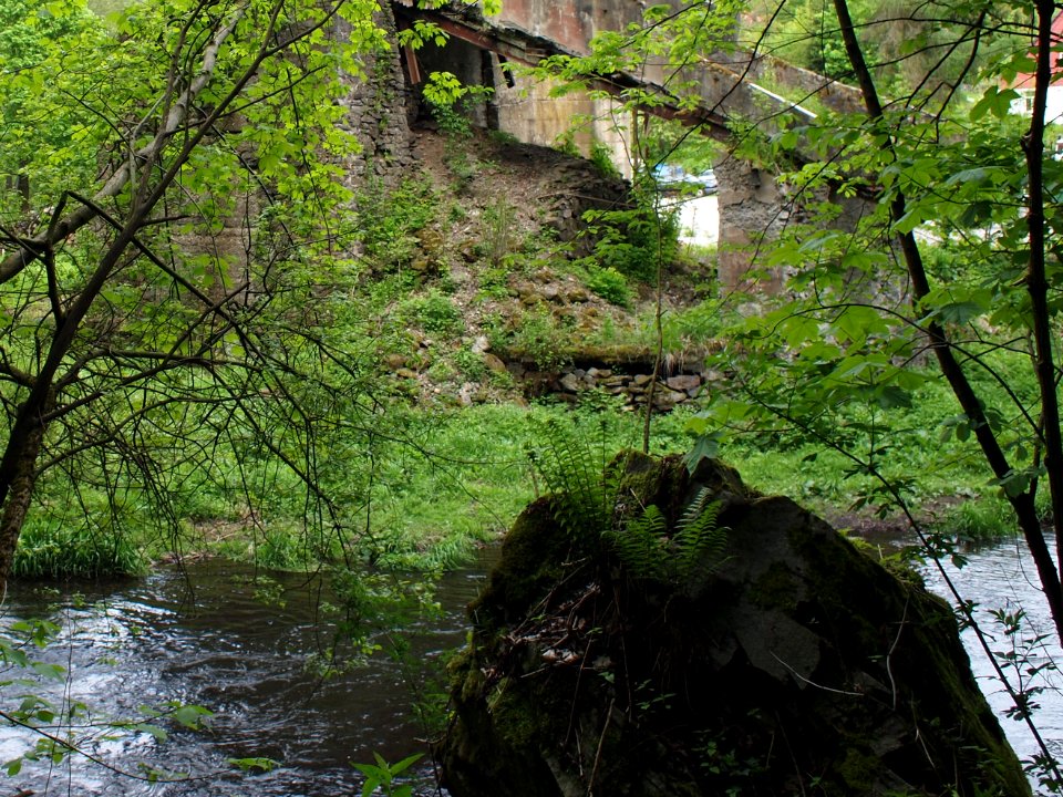 Harzgeröll an der Bode