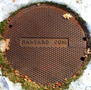 Harvard Com - manhole cover - Harvard University - Cambridge, MA - DSC02550 photo