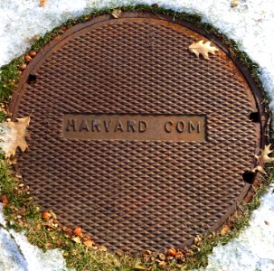 Harvard Com - manhole cover - Harvard University - Cambridge, MA - DSC02550