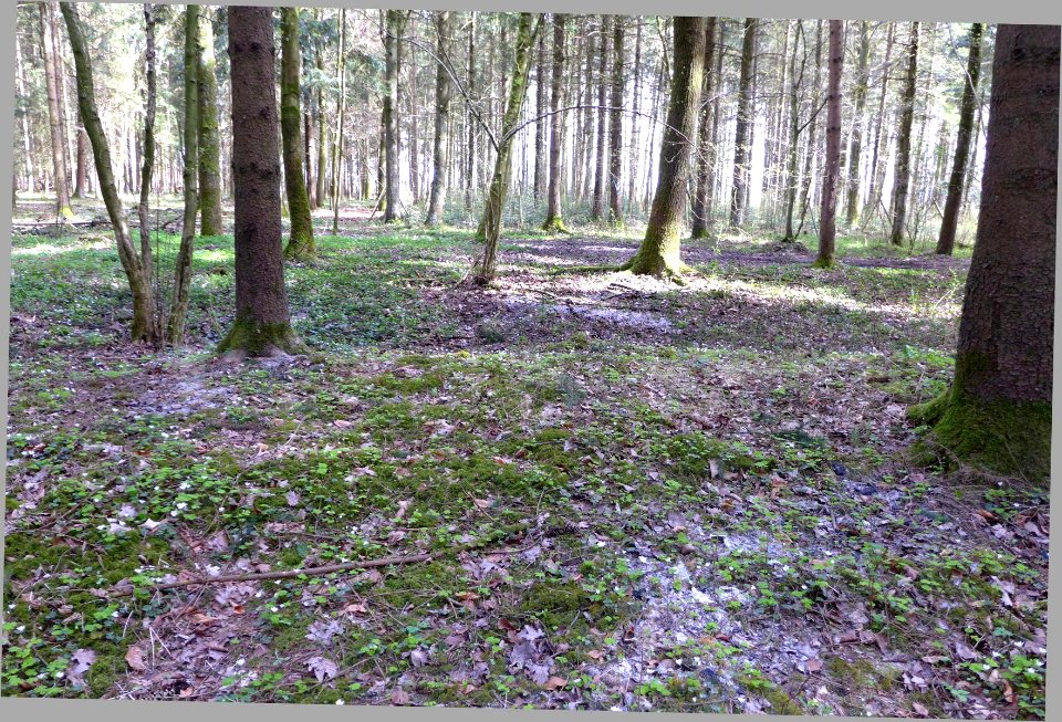 Hart-Wasenberg03-Vorwallstück-südlich