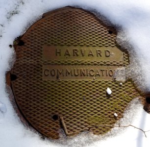 Harvard Communications - manhole cover - Harvard University - Cambridge, MA - DSC02542 photo