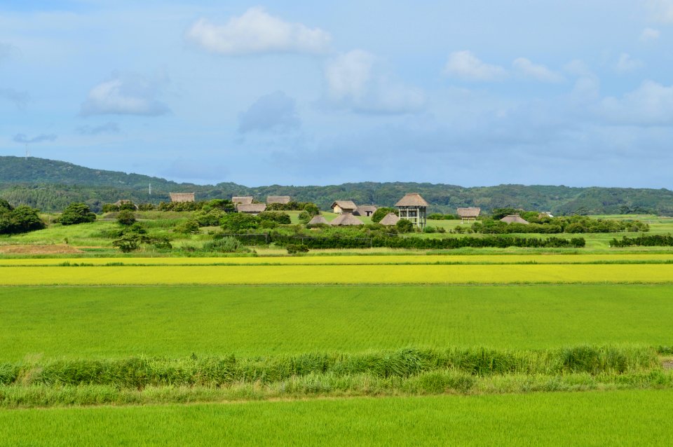 Harunotsuji Ruins, enkei-3