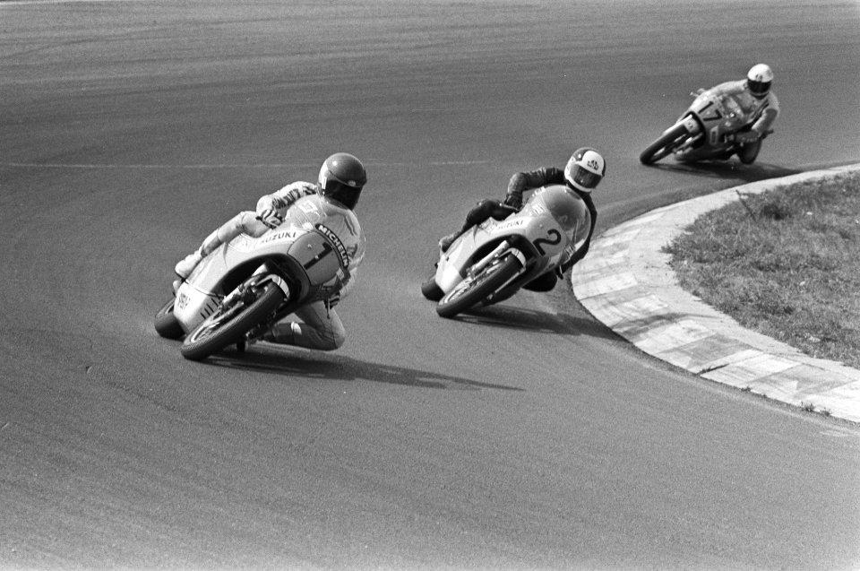 HartogVanDulmenAnkone1976