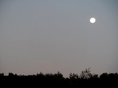 Harvest Moon
