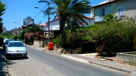 Hasar-moshe-shapira-may-2015
