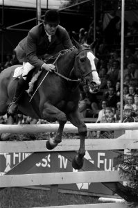 Harvey Smith met het paard Harves uit Engeland in actie, Bestanddeelnr 928-1127