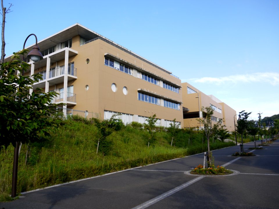 Haruhino schools
