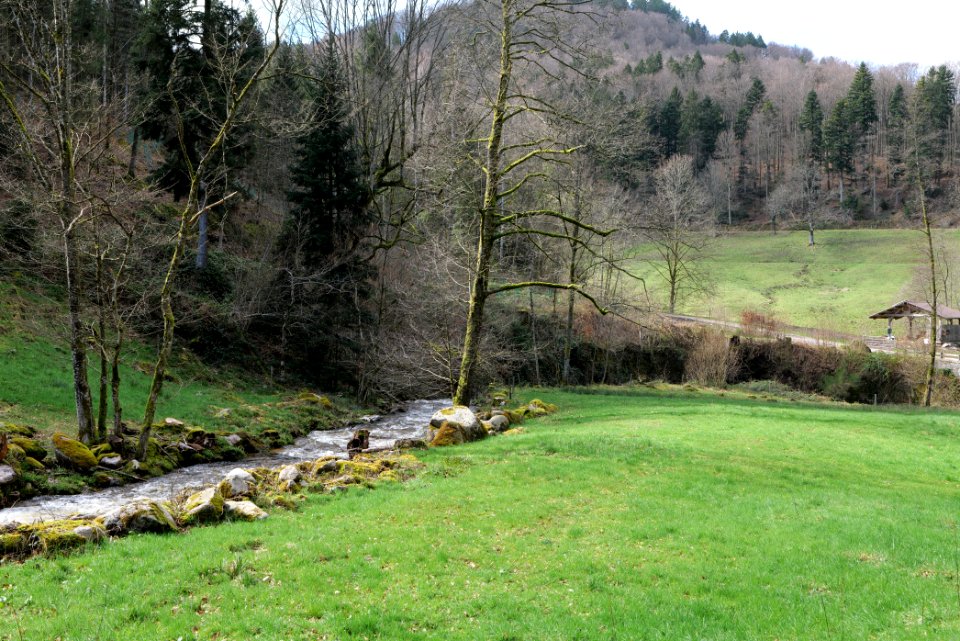 Harzbach 2020-03-13 20