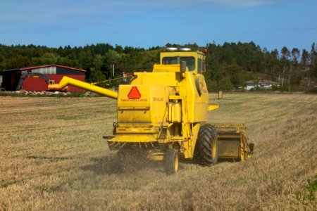 Harvesting oat after the summer of 2018 drought 5