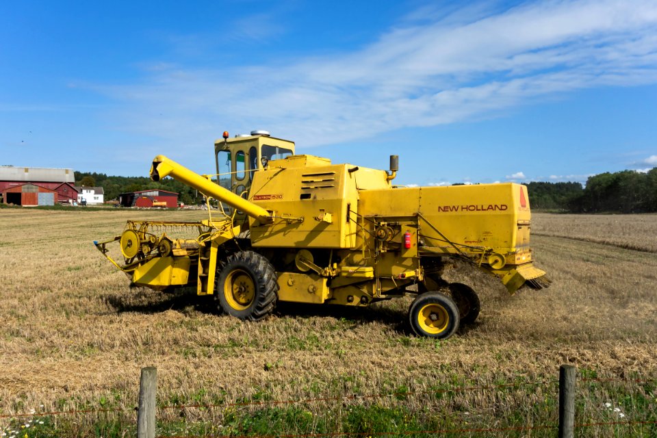 Harvesting oat after the summer of 2018 drought 4