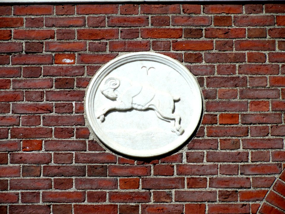 Harvard-Yenching Institute decoration - DSC05387