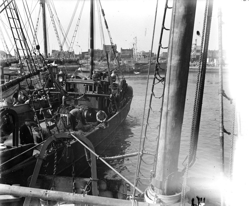 Haringvloot vaart uit, Bestanddeelnr 902-1513