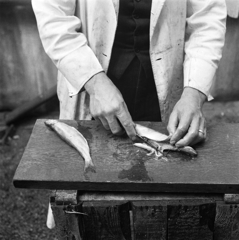 Haring schoonmaken, Bestanddeelnr 901-8384