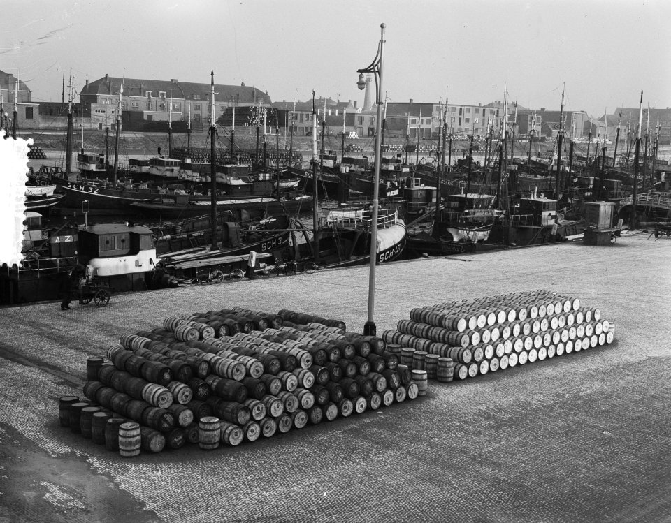 Haringvaten aan de haven Scheveningen, Bestanddeelnr 904-9658