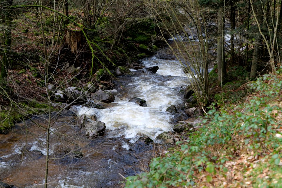 Harzbach 2020-03-13 10