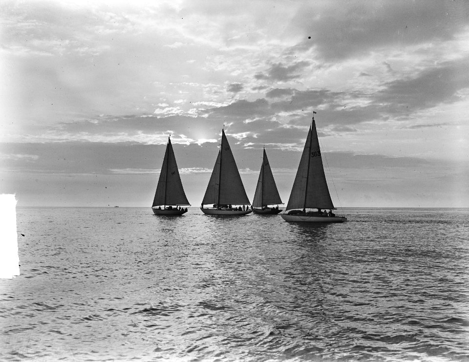 Harwichrace vanaf Hoek van Holland . Van links naar rechts Olivier van Noort , , Bestanddeelnr 903-4069