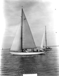 Harwichrace vanaf Hoek van Holland . Dr. Zwerver maakt zich startklaar, Bestanddeelnr 903-4066