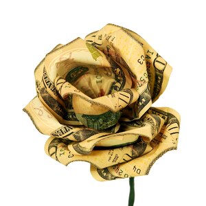 Cash gift dollar