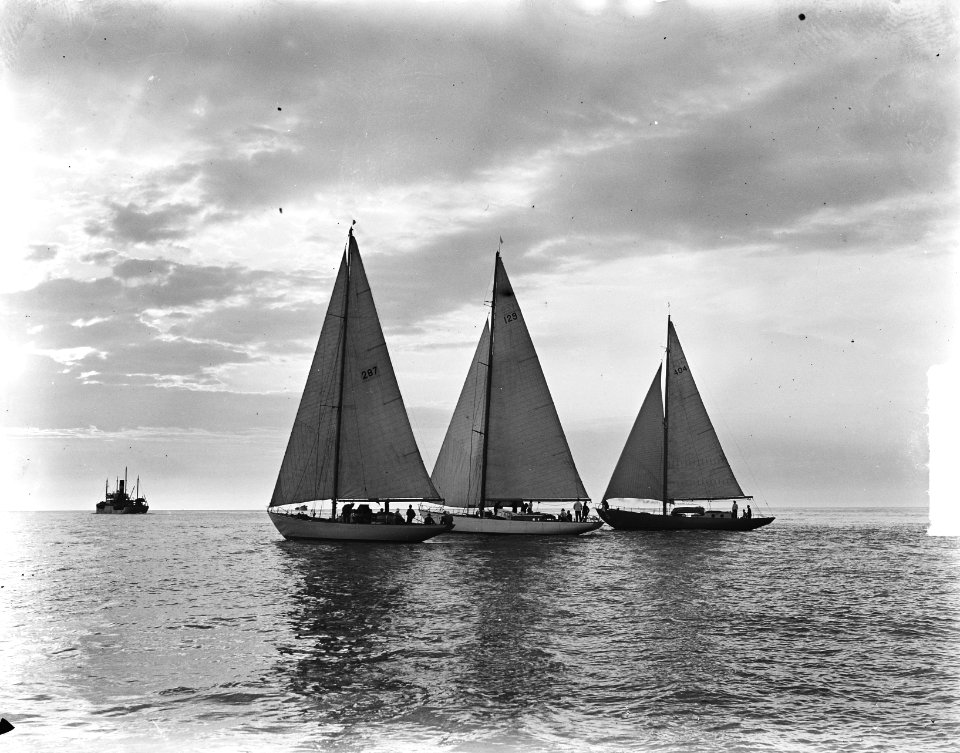 Harwichrace vanaf Hoek van Holland . Van links naar rechts Olivier van Noort , , Bestanddeelnr 903-4070