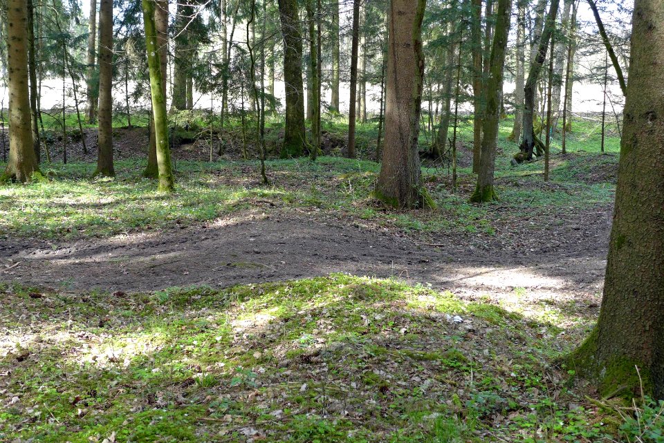 Hart-Wasenberg06-Wasenberg-östlich-Traktorpiste-quert-Vorwall