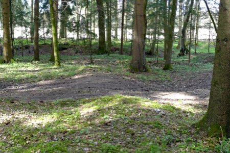 Hart-Wasenberg06-Wasenberg-östlich-Traktorpiste-quert-Vorwall
