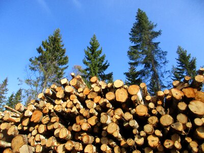 Wood threes building materials