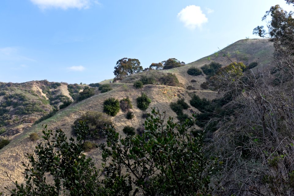 Hellman Park Whittier CA 2 Mariposa Trail