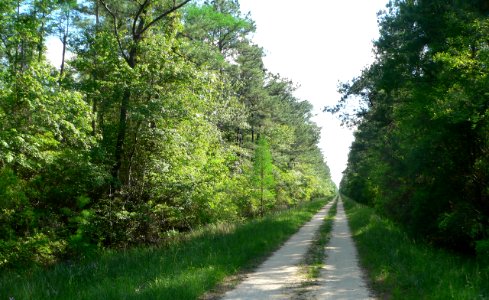 Hell Hole Road SW from 158A