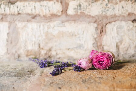 Wall stone ceremony photo