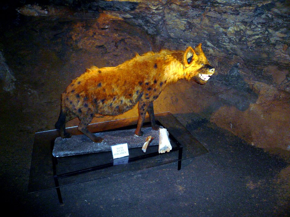 Heinrichshöhle, 15