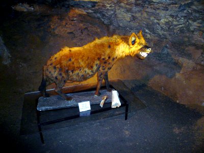 Heinrichshöhle, 15
