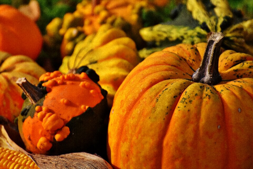 Autumn decoration colorful