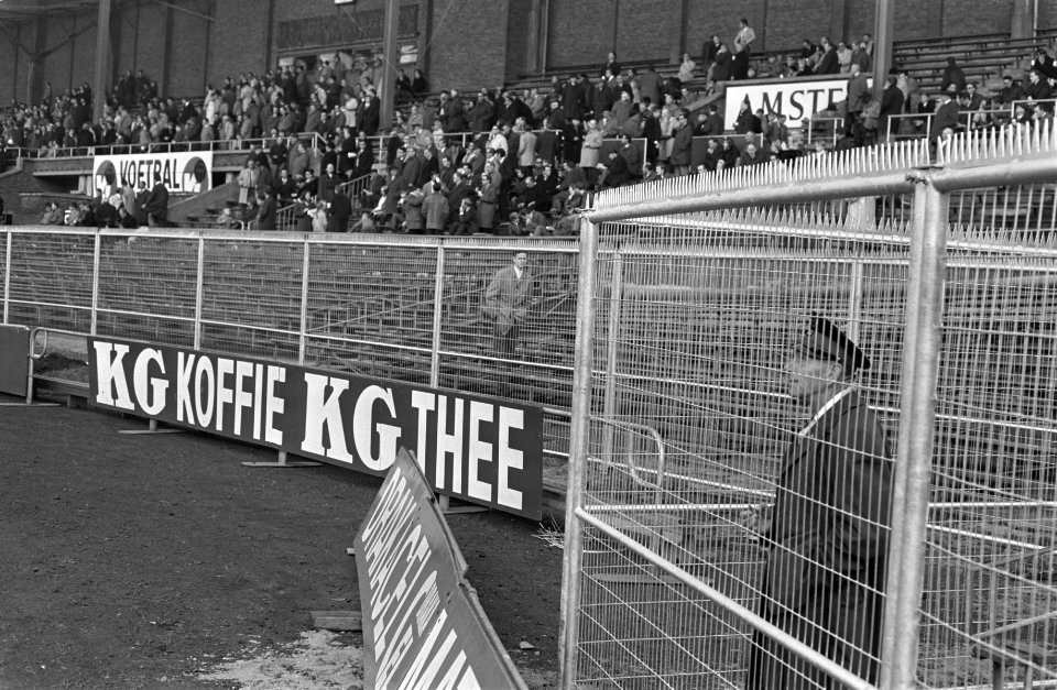 Hekken geplaatst in Olympisch Stadion, Bestanddeelnr 921-8433