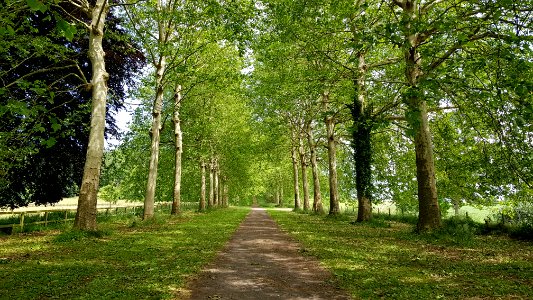 Heks-Kasteel van Heks (5)