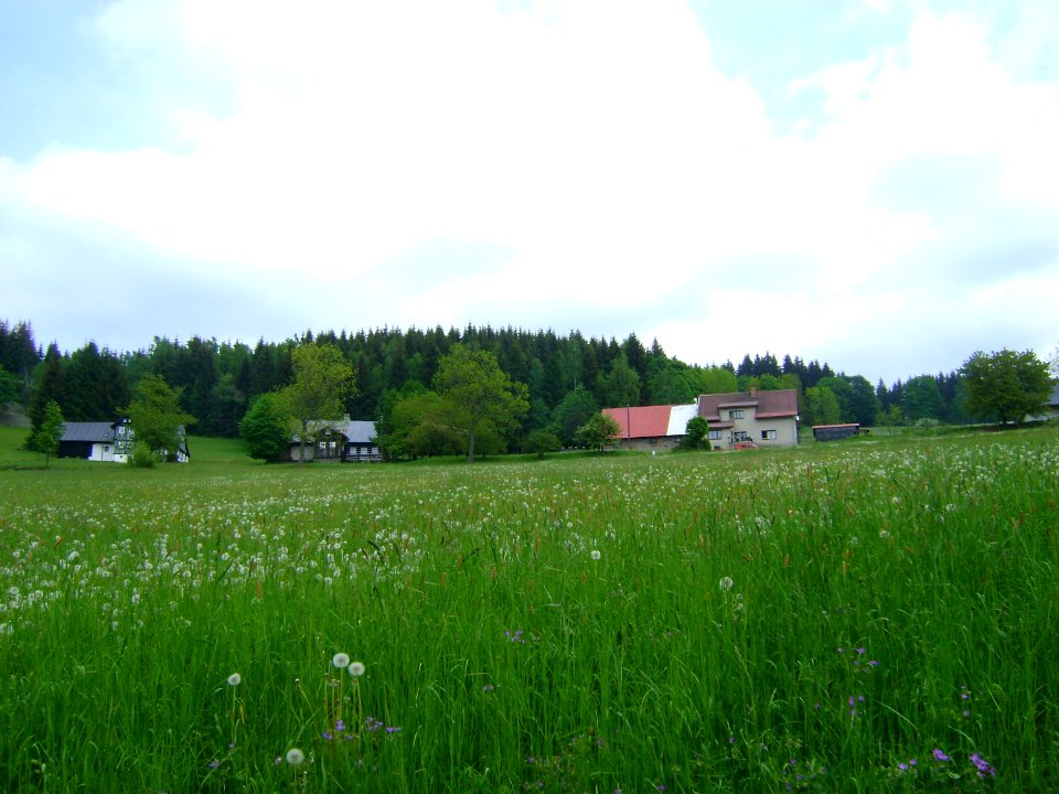 Hejlov mit