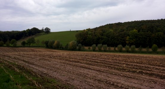 Helling langs weg Euverem-Reijmerstok